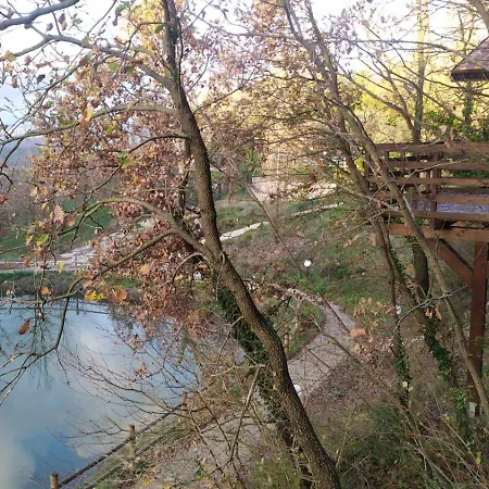 Anima Mundi Sull'albero 山林小屋