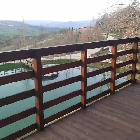 Lodge Anima Mundi Sull'albero