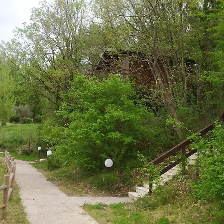 Anima Mundi Sull'albero Lodge