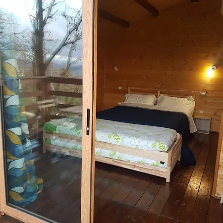 Anima Mundi Sull'albero *