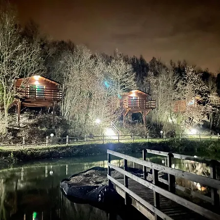 Lodge Anima Mundi Sull'albero *