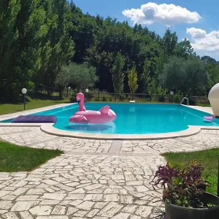 Anima Mundi Sull'albero *