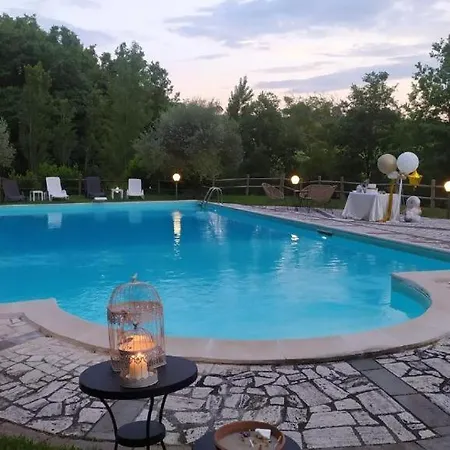 Anima Mundi Sull'albero *